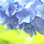 0ecdc3f9fbebe9d8f073cf72421da05b_s