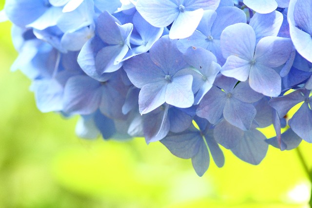 0ecdc3f9fbebe9d8f073cf72421da05b_s