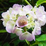 227b99022a4f7d73af2ac0f664293afa_s