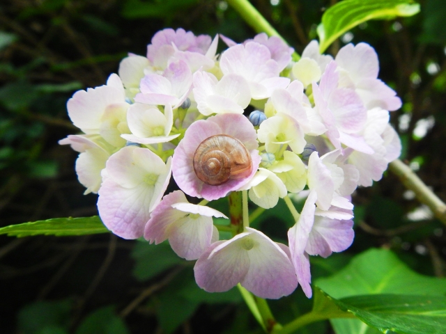 227b99022a4f7d73af2ac0f664293afa_s