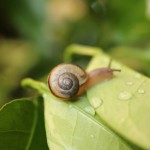 65185075700355f43a8476ed4f831aaa_s