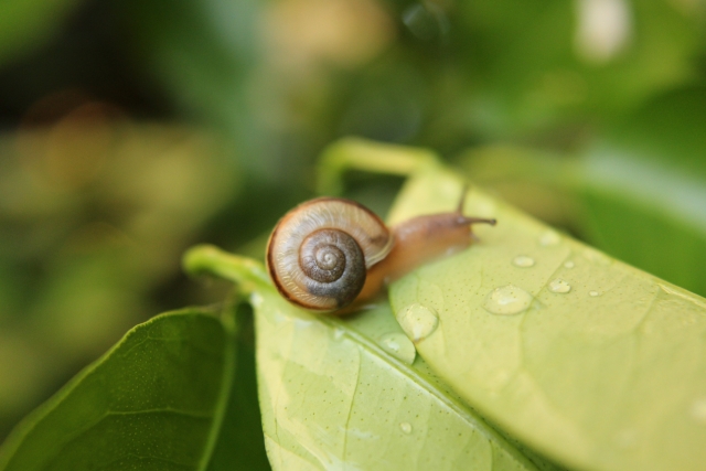 65185075700355f43a8476ed4f831aaa_s