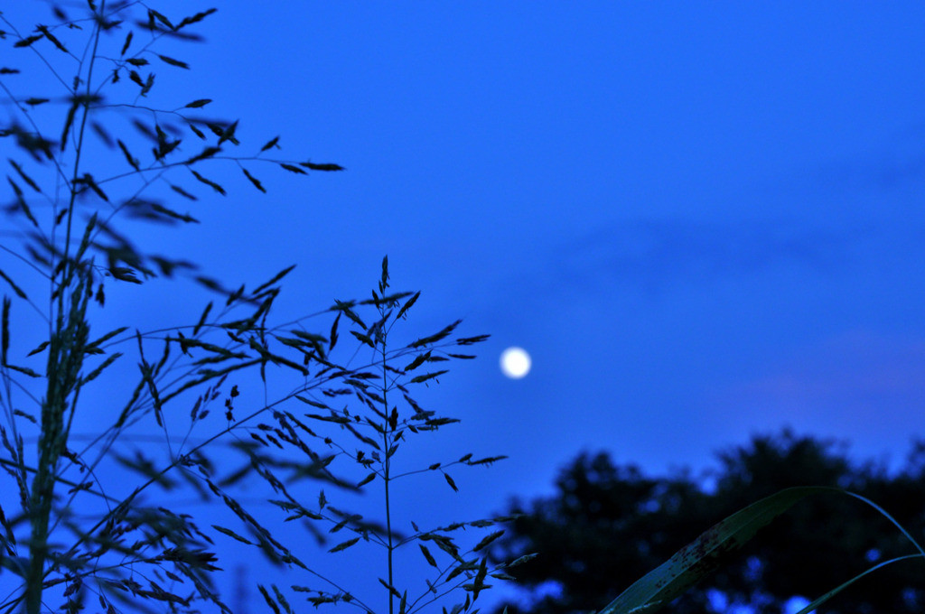 f71cbfe8c69d1a480440d3ea1ea9aacf_l