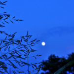 f71cbfe8c69d1a480440d3ea1ea9aacf_l