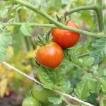 5aabd4d5b7d2753b8e344304116ed2fd_s