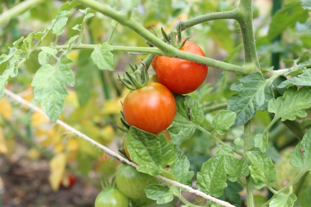 5aabd4d5b7d2753b8e344304116ed2fd_s