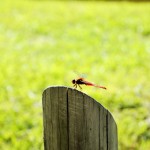 b4ca6a4a982769d24613ae6911ebe800_m