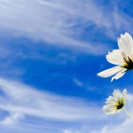 4916a1a7f121c5c0fda63daea3c9f5e4_s