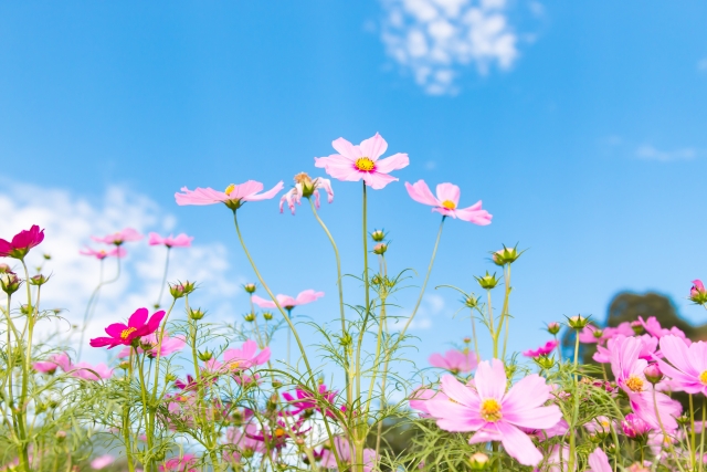 8a96b30a29507f12a2c6283e51c05749_s