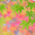 0a1e3488b7edafa434677b6074360504_s