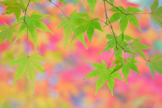 0a1e3488b7edafa434677b6074360504_s