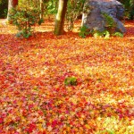 e74d535d5d3431153be01e6b6ef058f9_s