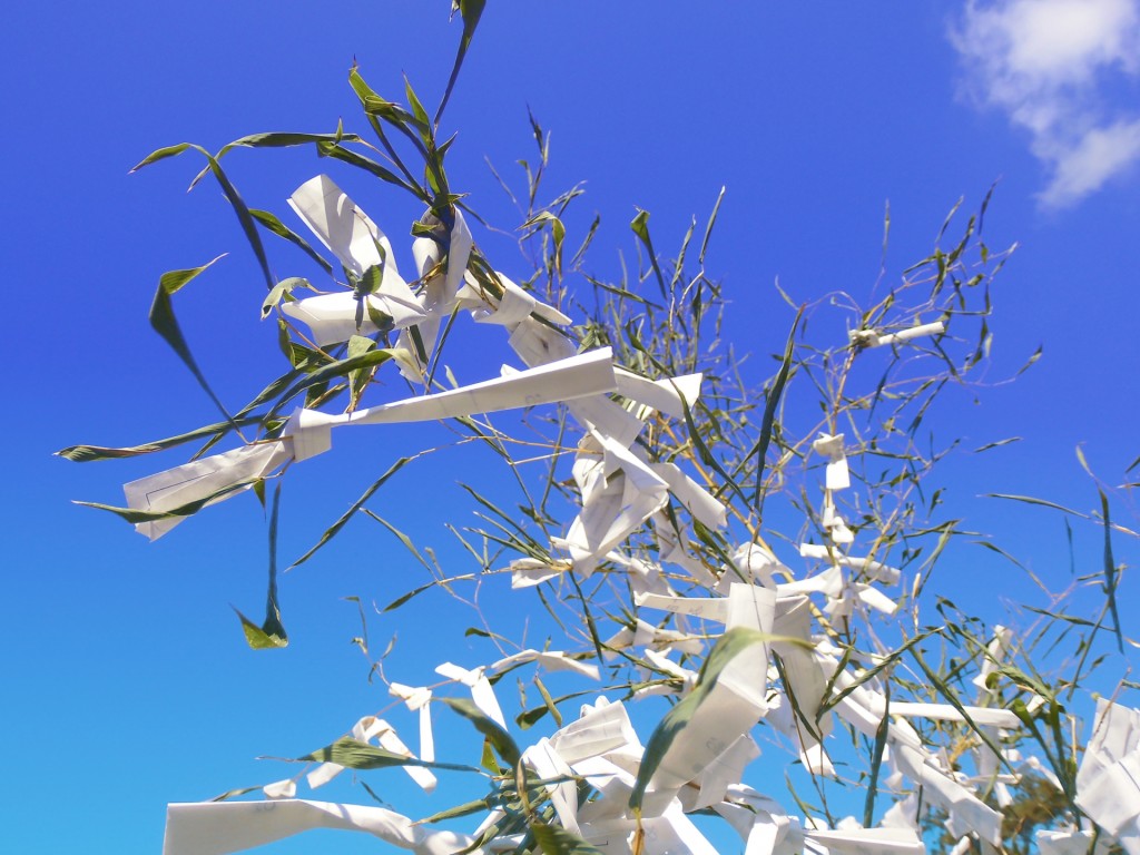 53a5ae88db897f68e135cfdcc7a8edb3_m