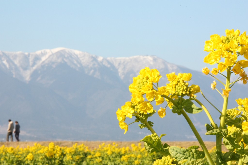 f61518a4336f274d68b9ce34090c8725_m