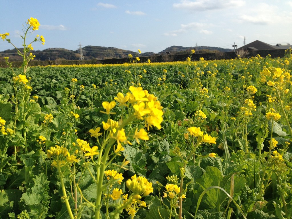 43697280dc198d56b8c8af0b8ede40b4_m