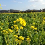 43697280dc198d56b8c8af0b8ede40b4_m