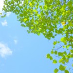 02a8282c1f76fd8a47dac7b8b9bf90f0_m