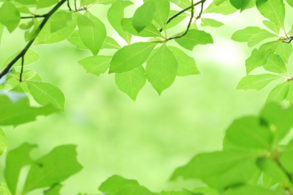 34016582b2b0ab48831c90e961b00b85_m