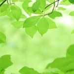 34016582b2b0ab48831c90e961b00b85_m