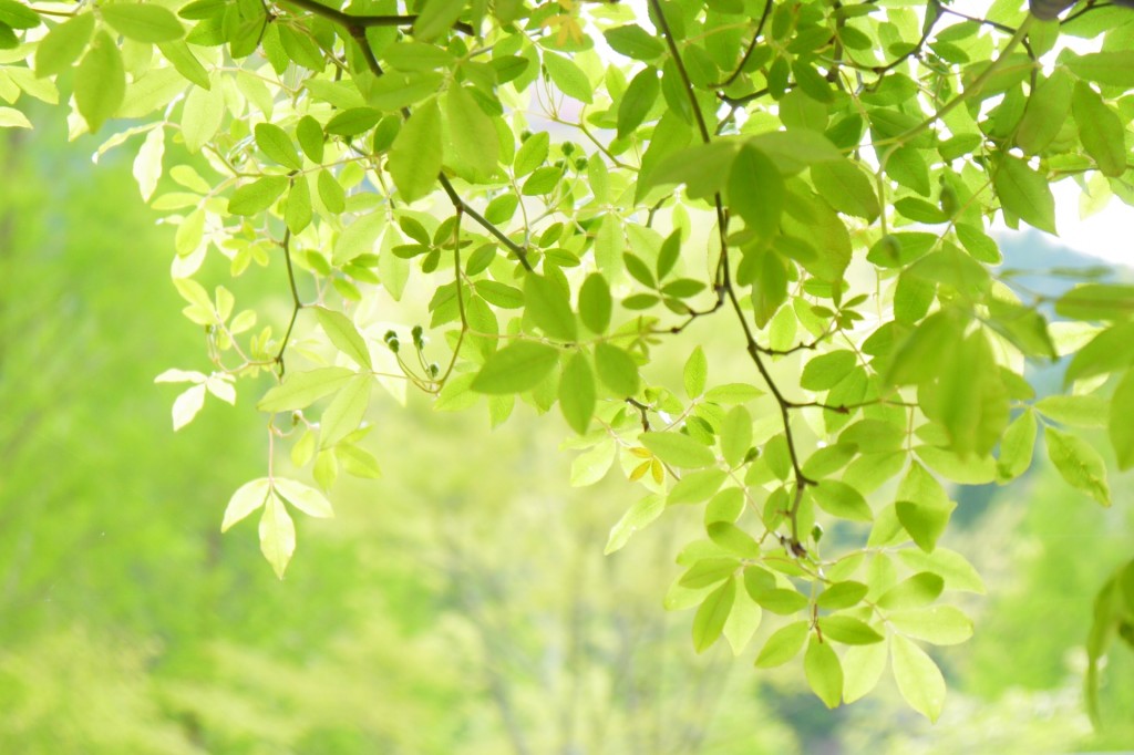 5e830234e5899358ba8eb59d257f89a5_m