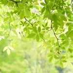 5e830234e5899358ba8eb59d257f89a5_m