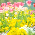 7a803bd121716e7ab145c4fc57630aa4_m