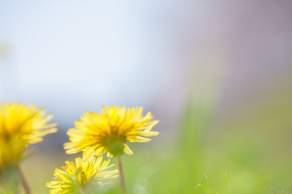 8da636679b8b7aebad5ba73dd3b49cf0_m