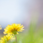 8da636679b8b7aebad5ba73dd3b49cf0_m