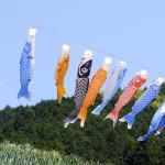 b8d09cfaf3350c592fcbc9c804b88b01_m