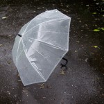 60764fc84505a4551c835a6cbd67b84c_m