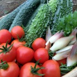 6ad113a49a5f1ca1647d5db8a9b43112_m