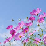 a58b46c9386db4067b39c4fe9d6f982b_m