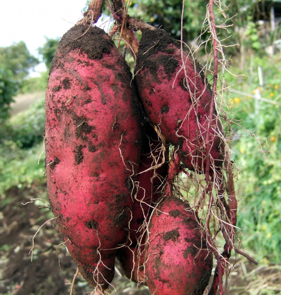 6e0bbac10afd806031495816ecc2dcc0_m