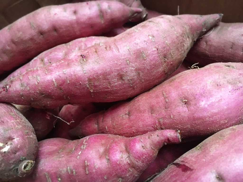 ac658503793a12c752b64e6664977fa8_m