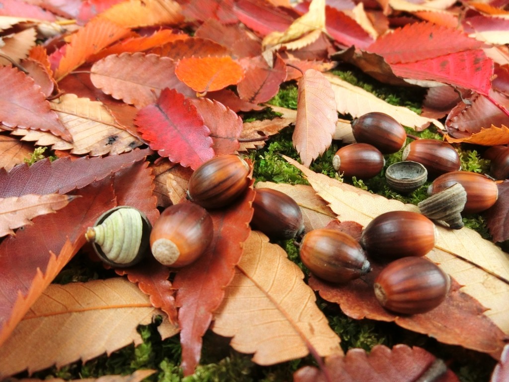 bbf27c0c46ff88a0b0071c9c207776f6_m