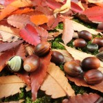 bbf27c0c46ff88a0b0071c9c207776f6_m