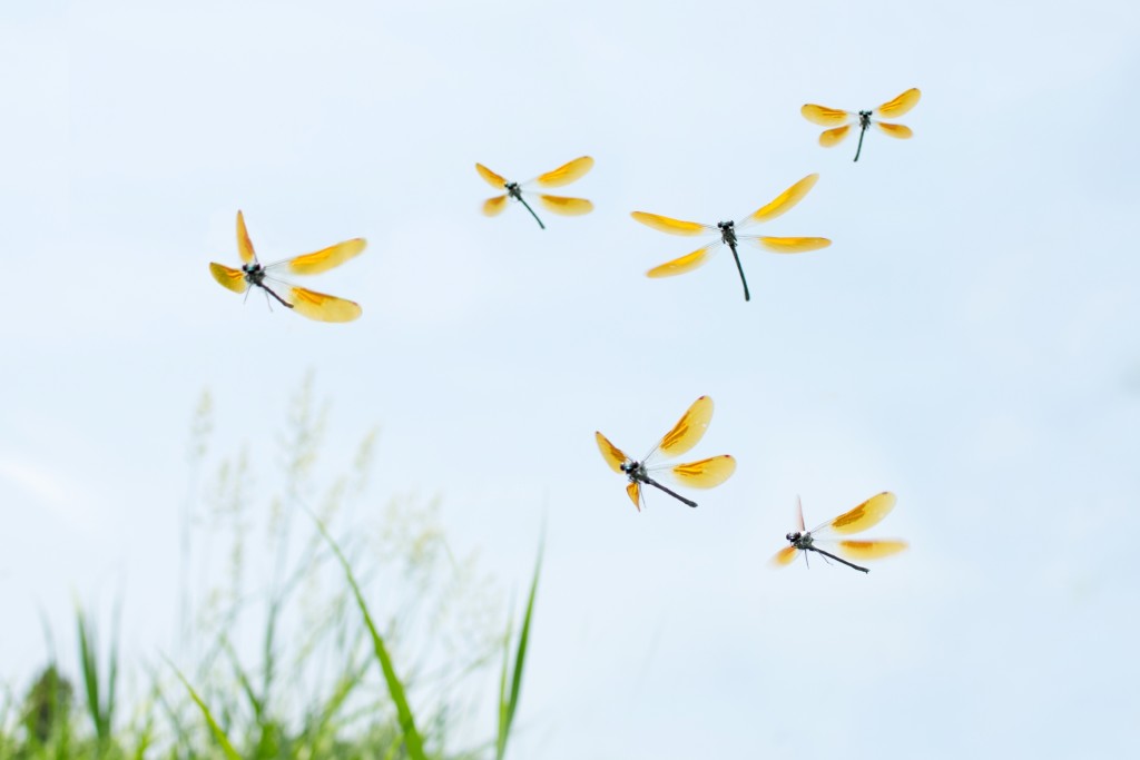 dc7a93d7de17723a307f7d57361a1fd5_m