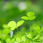 9157f4aa75d683a3f7db3b18c73b4dda_l