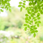 c23ff5c7e93e4f9c6402c721faaa8d84_m