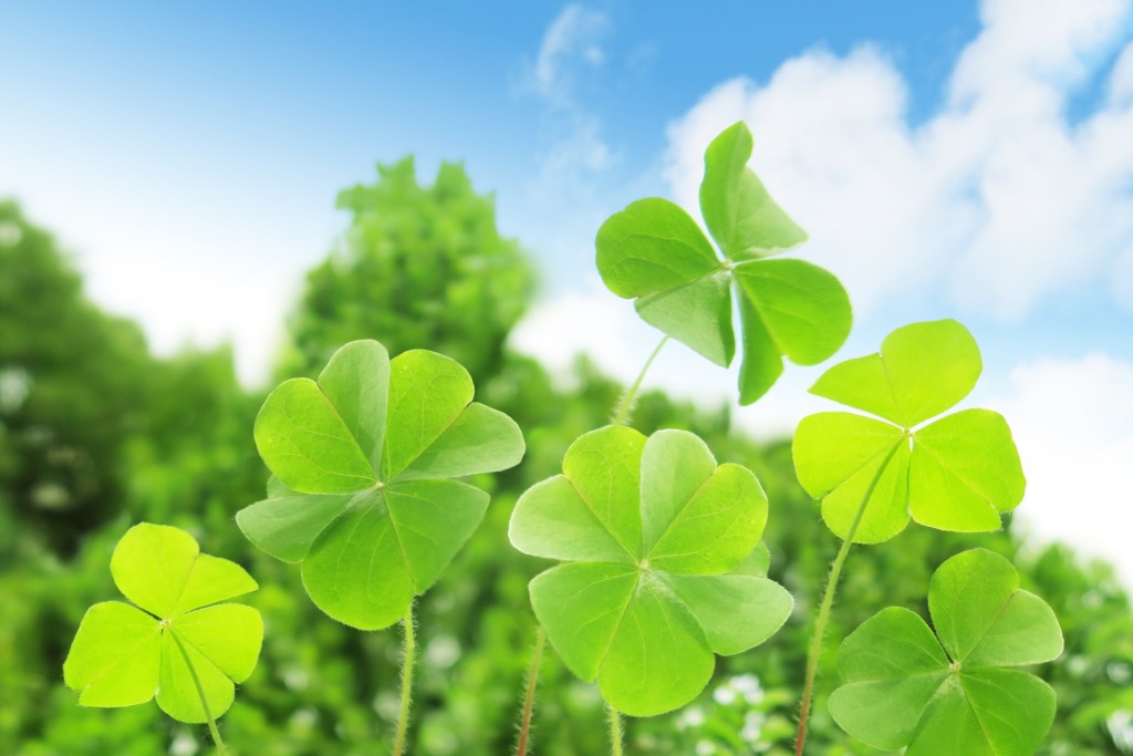 ca3e299f2387fcf89592ca6f76db314c_m