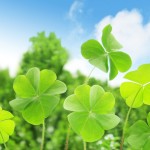 ca3e299f2387fcf89592ca6f76db314c_m