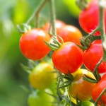 9e26c0587c4fd79ce288af1185a7eef0_m