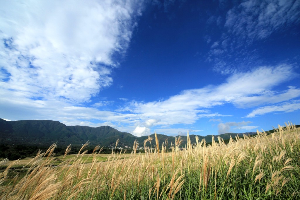 688a7a73cb6b7ce9e3e832ab82ea85ec_m