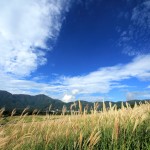 688a7a73cb6b7ce9e3e832ab82ea85ec_m