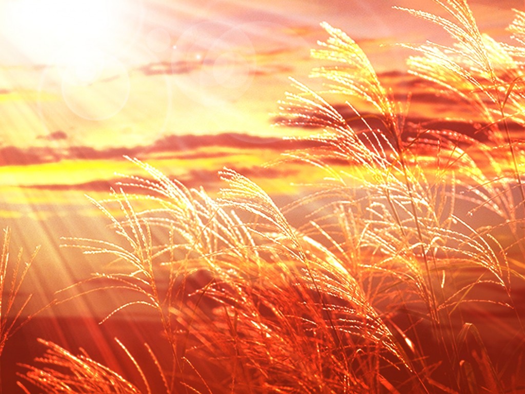 182512573161701a77c2bc73d2e19aff_m