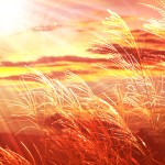 182512573161701a77c2bc73d2e19aff_m