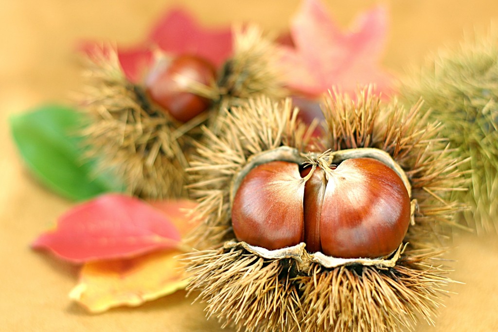 53062f6fafe3ea7118502a43c301d7b4_m