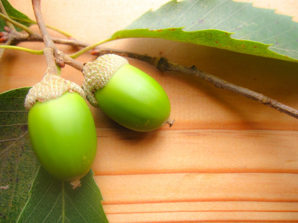 beded1d1c2482175b63d8680f73b93c6_m