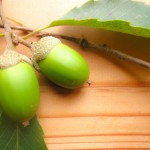 beded1d1c2482175b63d8680f73b93c6_m