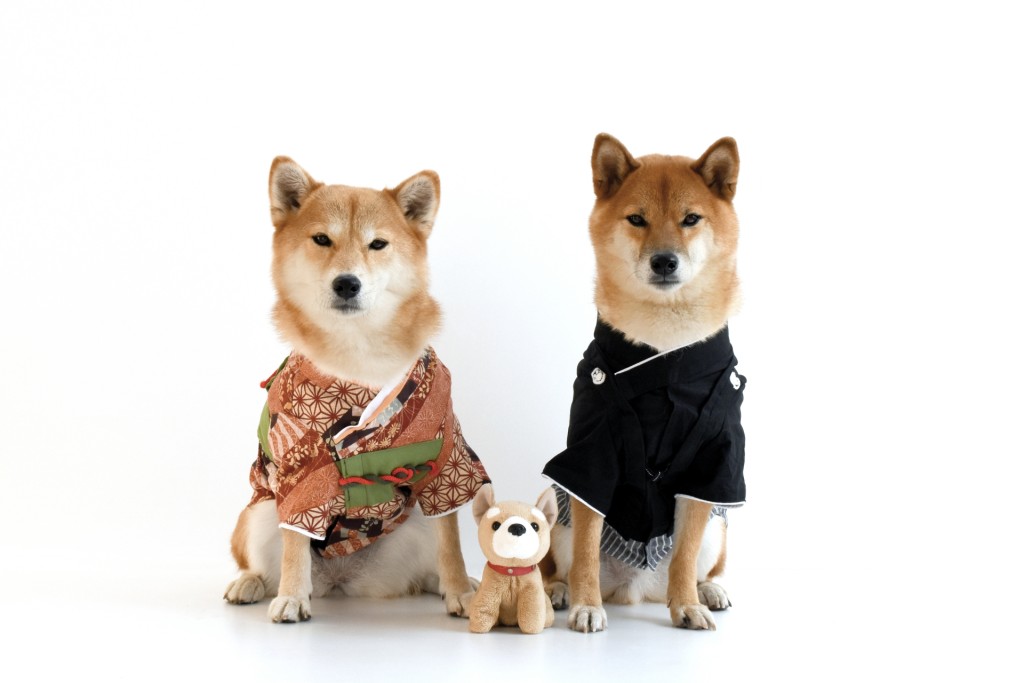 864f49ea94c7b1039b31cedc7ccd8432_m